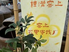 -苏州市吴中区光福窑上花果蜜饯厂