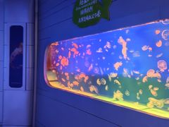 -萌宠奇缘(荣鼎店)