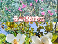 -城市运动公园(未央区)