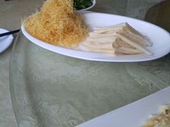 -丁老爷子苏香圆