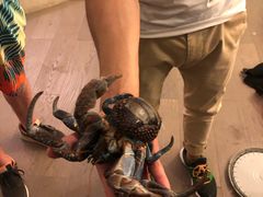 -咪咪家的餐厅