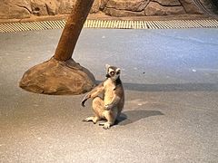 -海合安武汉极地海洋公园