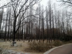 -达活泉公园