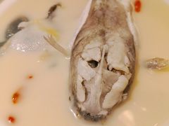 养颜白汁河豚-肆月河豚·新淮扬(金融街店)