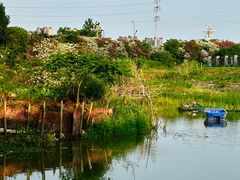 -艾溪湖湿地公园