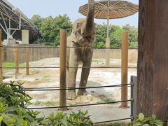 -杭州野生动物世界