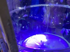 -正佳雨林生态植物园