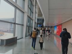 -青岛胶东国际机场