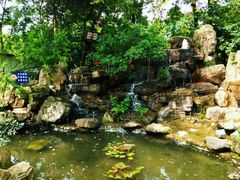 -三圣花乡旅游区