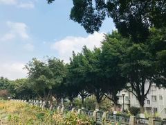 -黄埔古港