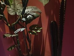 -泰融玺·泰式按摩SPA(包河万达店)