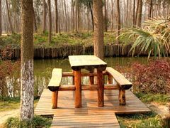 -合肥滨湖国家森林公园