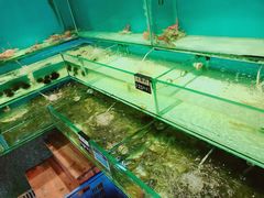 -美人鱼悬崖海景餐厅(鹿嘴山庄店)