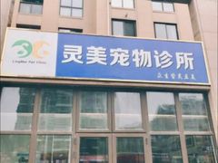 -灵美宠物诊所