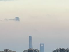 -上海浦东星河湾酒店