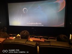 -英皇电影城(英皇集团中心IMAX店)