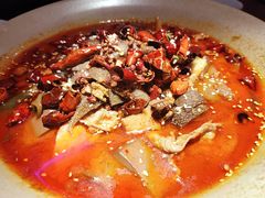 招牌毛血旺-映水芙蓉(上海万象城店)