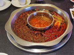 -一斗火锅·招财羊毛肚(北温泉九号店)