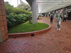 -香港大学