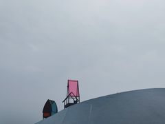 -荷兰花海