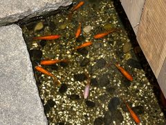 -邈墨茶馆(凤起路店)