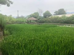 -驿舍·民國老营房院子私房菜(科学会堂店)