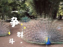 -宁波野生动物园