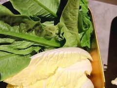 -Darling Queen·Mini·Live·House