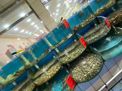 水产区-尚品海鲜大排档