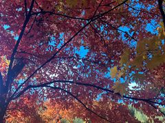 -本溪老边沟风景区