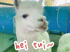 -上方山森林动物世界