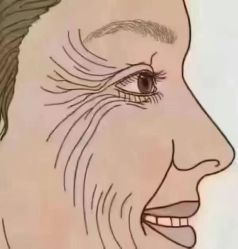 -名发世家烫染