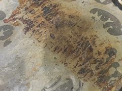 -金喜娜无限自助烤肉(泰达永旺店)
