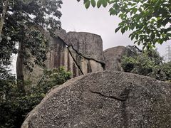 -玉树公园