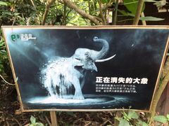 -野象谷景区