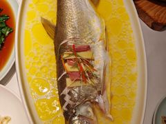 -森隆饭庄(新世界百货崇文店)