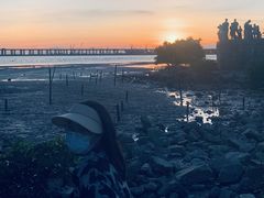 -宝安西湾红树林湿地公园