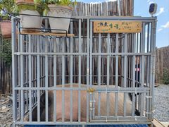 -小时光咖啡馆(开森度假森林店)