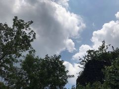 -武汉紫薇都市田园