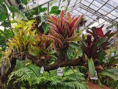 -国家植物园南园