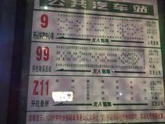 -野狸岛