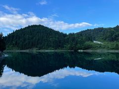 -武陵山森林公园