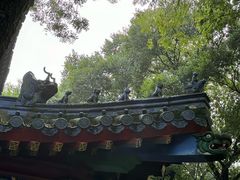 -灵谷景区