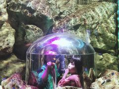 -暹罗海洋世界