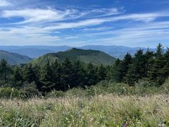 -白草畔自然风景区