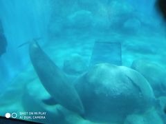 -福州罗源湾海洋世界旅游区