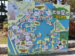 -苏州太湖国家湿地公园