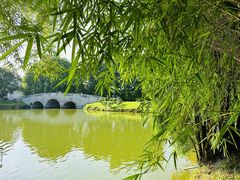 -中国科学院华南植物园