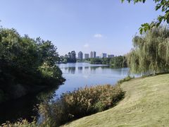 -眉山湿地公园(东坡区)