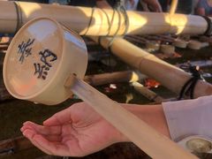 -有栖山 清光院 清水寺